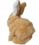 krolik-interaktywny-bialy-kolor-dominujacy-biel