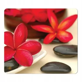 podkladka-pod-mysz-fellowes-earth-spa