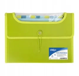 teczka-vfile-strigo-a4-12-przekladek-zielona