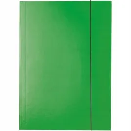 teczka-kartonowa-esselte-a4-z-gumka-zielona