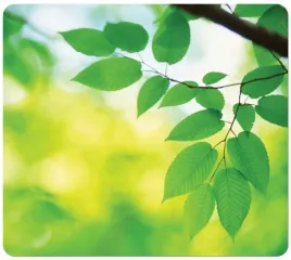 podkladka-pod-mysz-fellowes-earth-liscie