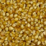 popcorn-25kg-kraj-pochodzenia-argentyna