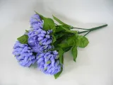 bukiet-niebieskich-chryzantem-najdluzszy-wymiar-60-cm