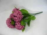 rozowe-chryzantemy-bukiet-najdluzszy-wymiar-60-cm