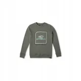 dziecieca-bluza-o-neill-cube-crew