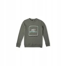 dziecieca-bluza-o-neill-cube-crew