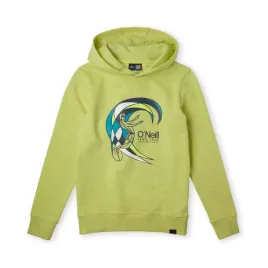 dziecieca-bluza-o-neill-circle-surfer-multi-hoodie
