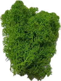 mech-ozdobny-florystyczny-100g-jasnozielony-dekoracyjny