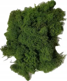 mech-ozdobny-florystyczny-100g-ciemnozielony-dekoracyjny