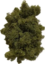 mech-ozdobny-florystyczny-100g-oliwkowy-dekoracyjny