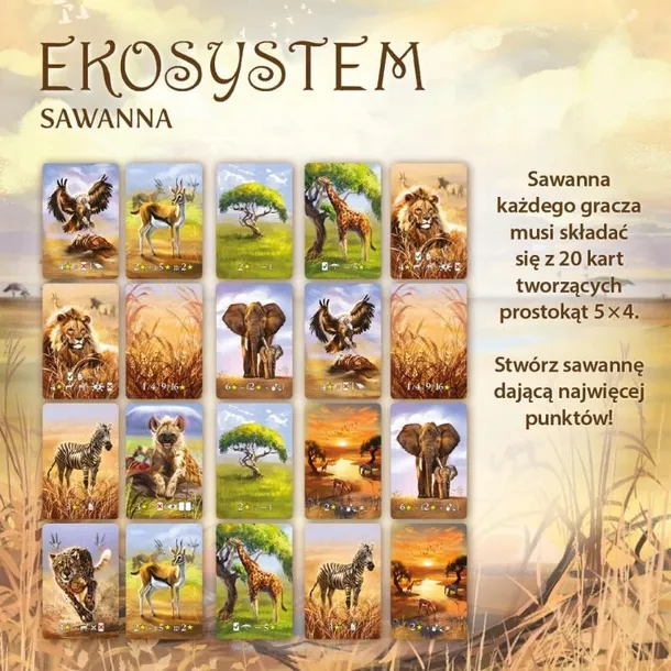 ekosystem-3-sawanna-maksymalna-liczba-graczy-6