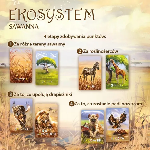 ekosystem-3-sawanna-jezyk-instrukcji-polska