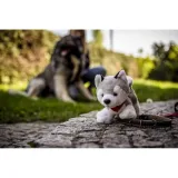 pluszowy-pies-husky-or-trooper-stan-nowy-marka-bez-marki