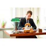 pluszowy-lew-or-richard-k-marka-bez-marki