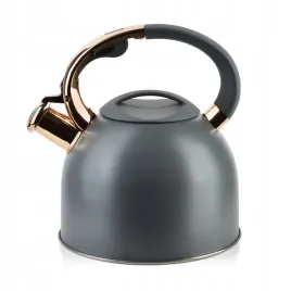 czajnik-z-gwiazdkiem-25l-szary-6639