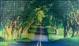 wycieraczka-pod-drzwi-do-butow-podgumowana-wn15