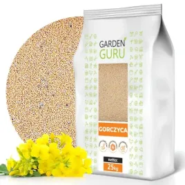 gorczyca-biala-na-poplon-nasiona-miododajna-25kg