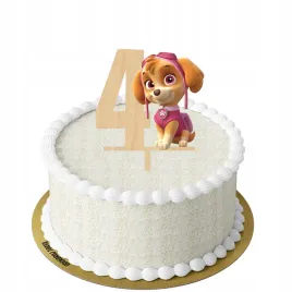 topper-kolorowy-cyfra-4-psi-patrol-sky