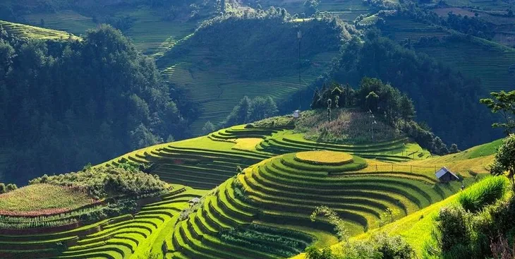 akbar-ceylon-tea-100tbx2g-cechy-dodatkowe-ekologiczne-niesiarkowane-weganskie-wegetarianskie