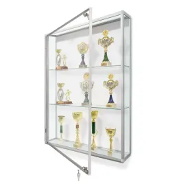 gablota-na-puchary-gpb-s-100x120x25cm-przeszklona