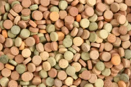 tabletki-mix-100g-pokarm-dla-ryb-akwarium