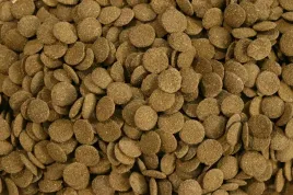 green-wafers-tabletki-ze-spirulina-algae-100g