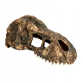 exo-terra-kryjowka-exoterra-czaszka-tyranozaura-mala-ex-8602