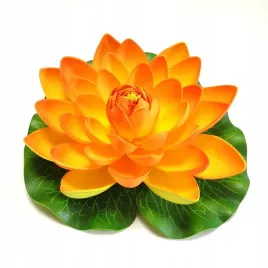 lilia-do-oczka-wodnego-pomaranczowa-28cm