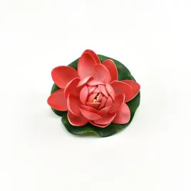 lilia-do-oczka-wodnego-czerwona-10cm