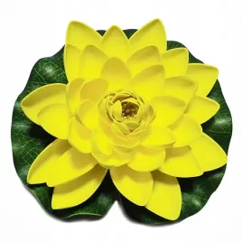 lilia-do-oczka-wodnego-zolta-28cm