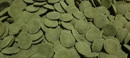 tropical-breeder-green-algae-wafers-100g-glonojad