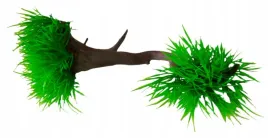 aquael-roslina-plastikowa-246211-23x10x9
