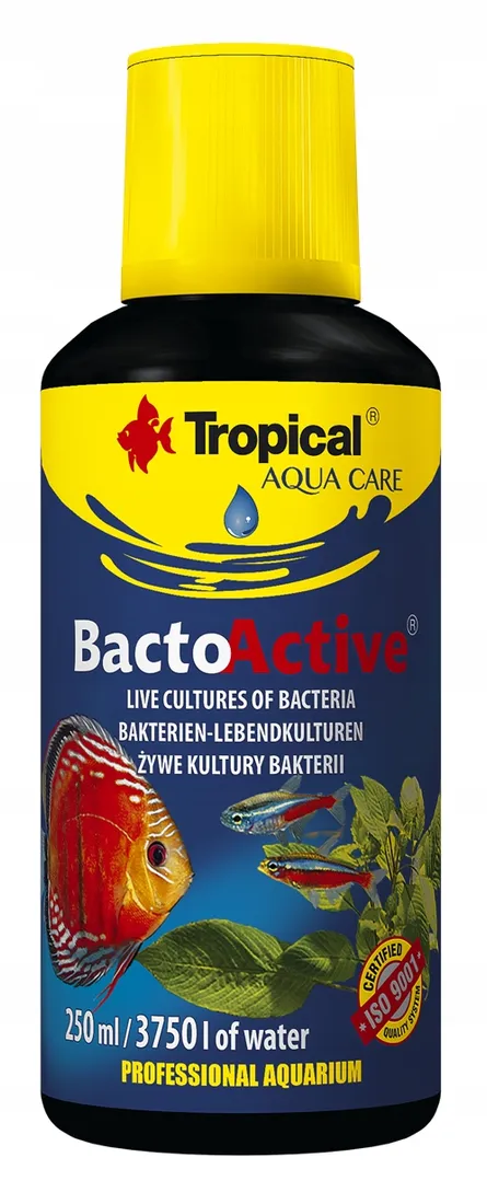 Grafika w opisie produktu