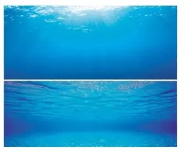 juwel-poster-2-s-fototapeta-60x30cm-fototapeta