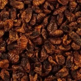 larwy-jedwabnika-suszonego-100g-dla-zolwia-ryb