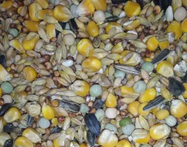 uniwersalna-karma-caloroczna-dla-golebi-25-kg