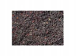 rzepak-dla-golebi-papug-kanarkow-5-kg