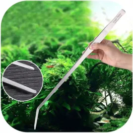 peseta-do-akwarium-dluga-zagiety-koniec-48cm