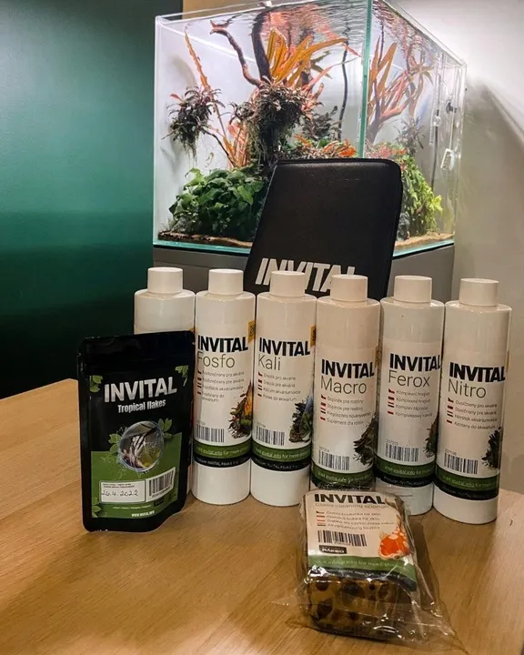 invital-carbon-500ml-stan-nowy