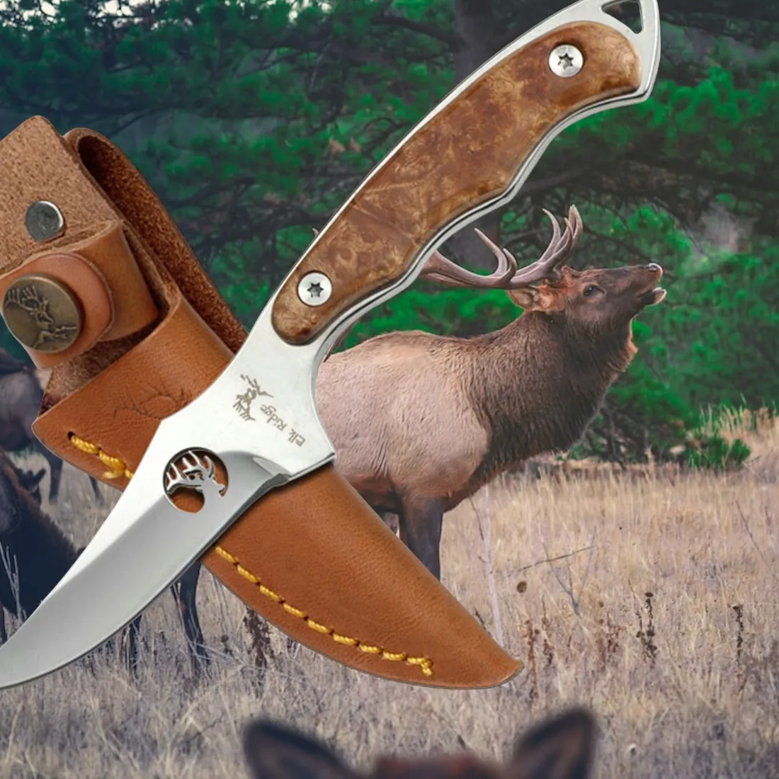 noz-profesjonalny-mysliwski-ostrze-stale-elk-ridge-er-059