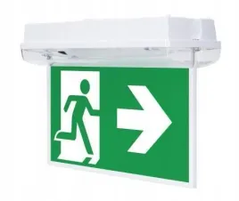 zestaw-ds-do-orion-led-100-intelight