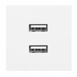 port-modulowy-z-ladowarka-2xusb-or-gm-9010-w-usbx2