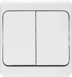 kos-bryza-bialy-lacznik-swiecznikowy-180405