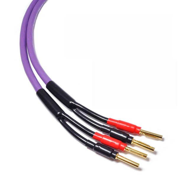 ﻿Kabel głośnikowy 2x4mm banan Melodika MDSC4020 -2m Polski Purple Rain