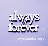 napis-always-and-forever