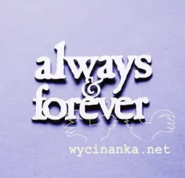 napis-always-and-forever