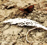 letni-wieczor-3