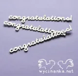 champion-napisy-congratulations