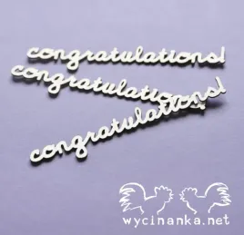 champion-napisy-congratulations