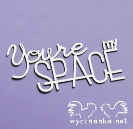 napis-you-re-my-space